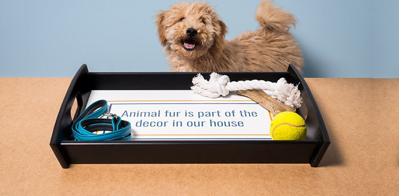 Cadeau pour chien personnalisé | smartphoto